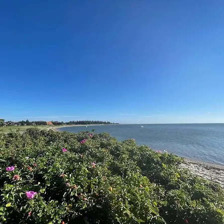 5 Person In Roslev-by Traum Sonder Thise